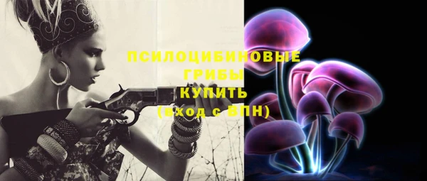 индика Баксан