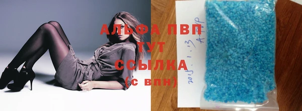 индика Баксан