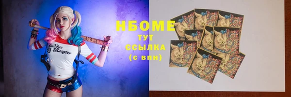 индика Баксан