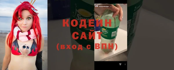 индика Баксан