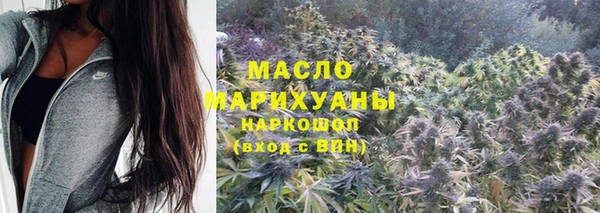 индика Баксан