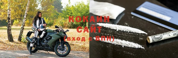 индика Баксан